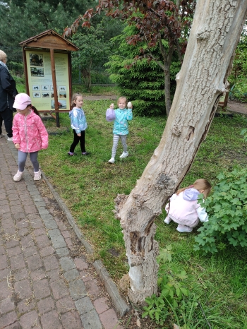 IMG20250522102444