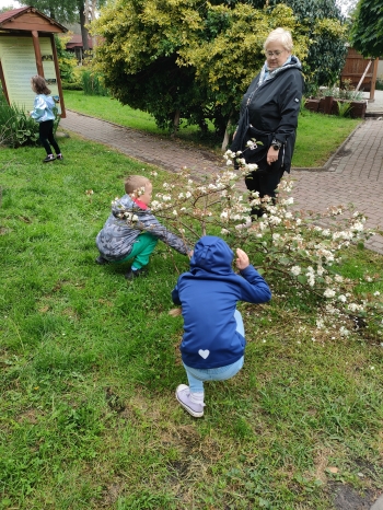 IMG20250522102707