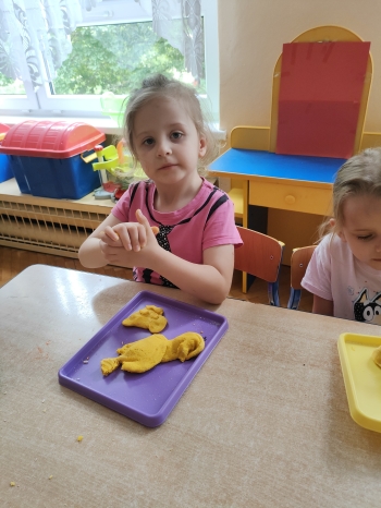 IMG20250530095155