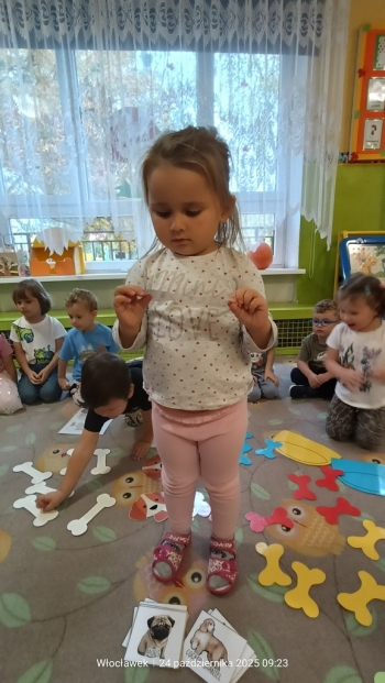 .trashed-1764015452-IMG20251024092324