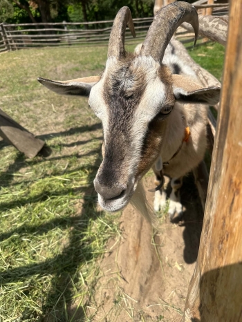 Messenger_creation_258C5F5E-64BA-49B2-8E56-DD117CA37D69.jpeg